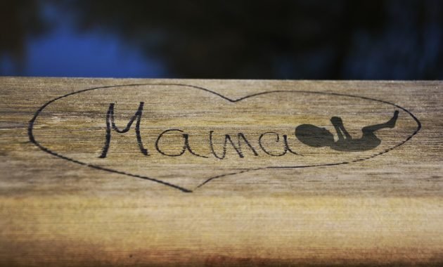 Makanan dan Minuman Wajib untuk Program Hamil